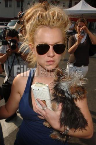 Britney Spears - Here is a picure of Britney Spears leaving petco in Los Angeles on 17th November 2007