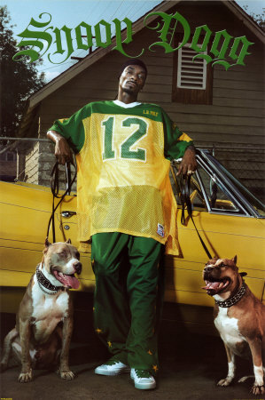 snoop dogg - snoopdogg