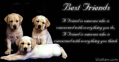 Look freindship - A friend is someone who is concerned with everything you do,A friend is someone who is concerned with everything you think.