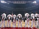 the bull family - it's a amazing team