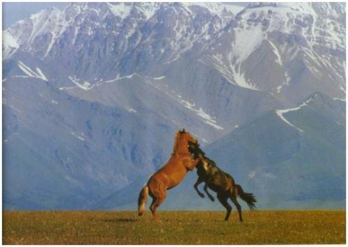 what is love - Love is ,in the blundless world,only we two exist.