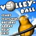 volleyball - volley ball