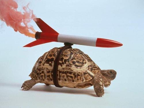 Carrying Crackers !!! - the picture is very funny as well as wonderful... its humorous, dont u think friends???