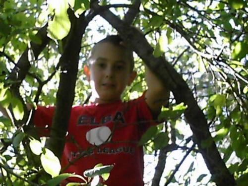Hunter Felton - Hunter 'Little Buck' Felton. 11/10/97-11/16/07.