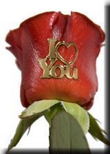where is my sweet heart  - i am waiting stilll