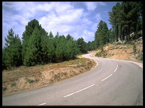 road - la;f