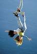 bungee - jump