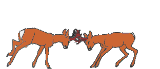 Christmas - reindeer