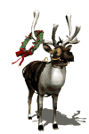 Christmas - reindeer