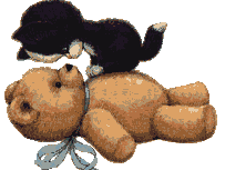 Christmas - teddy and cat