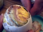 Balut - Yummy Balut