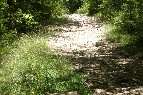 walk - stone trail. from a walk. maine