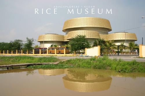 rice - logo