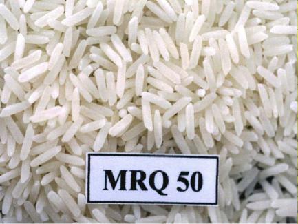 rice - MRQ50RiceGrain-26Apr2004-085340