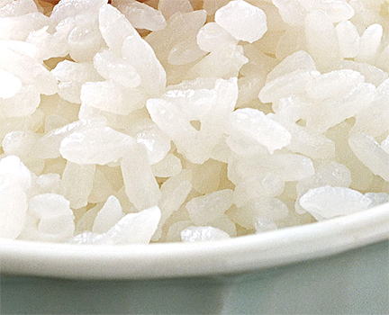 rice - rice1_l