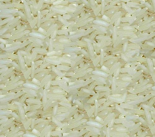 rice - Rice2