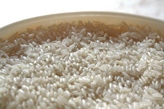 rice - Rice3