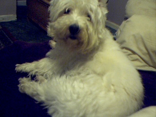 Eddie - How cute is this? His name is Eddie