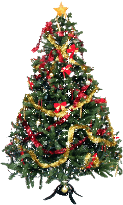 Christmas Tree - When is the best time?