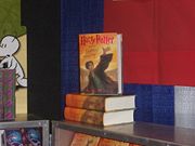 Harry Potter and the Deathly Hallows - the book harry potter and the deathly hallows