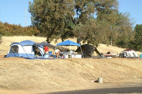 Camping - camping_acorn