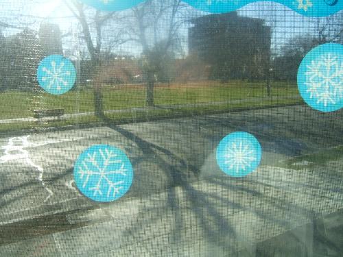 Looking out my window - window to outside Looking out my window - window to outside