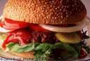 hamburger,fast food,eating,food - hamburger, fast food,eating,food