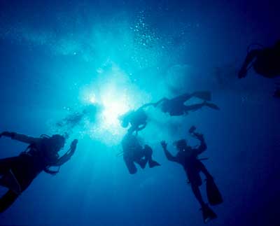 batangas - wanna dive?