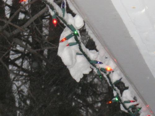 Pretty lights & snow - snow covered Christmass lights