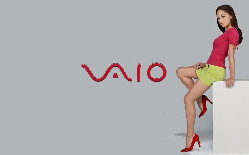sony viao  - its new photo for ur computer;)