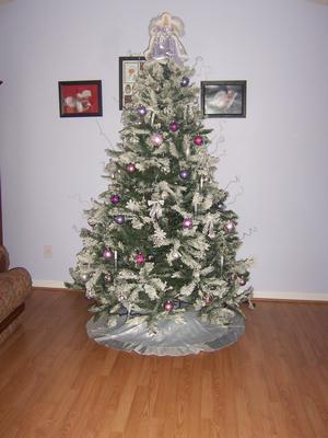 our christmas tree - Our christmas tree we put up last night.