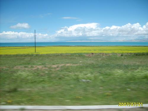 super beautiful XiNing in Qing Hai province in Ch - grassland,qinghai lake,delicious local food,strange customers,wonderful view,mystery story and so on. Just come here, view all the miracle in QingHai,China.