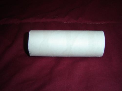 Empty Roll - Empty roll of toilet paper used to curl hair many years ago. Empty Roll - Empty roll of toilet paper used to curl hair many years ago.