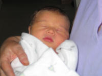 Katie at one day old - This is a photo of my granddaughter Katrina atone day old