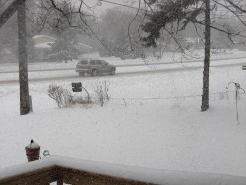 Heavy Snow - I love scenes like this at this time of year. Peaceful looking.