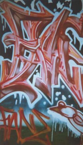 graffiti - i graffiti