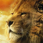 Aslan - Thee are friendly lions too.