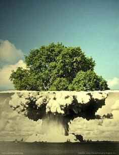 Tree - How a Tree can turn to an atomic bomb.