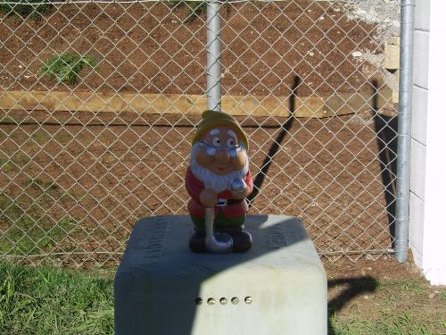 Gordon - our garden gnome named Gordon