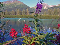 A day in Ak - i live here in Alaska. I've been here all my life. I love the scenery but I am ready for change. A day in Ak - i live here in Alaska. I've been here all my life. I love the scenery but I am ready for change.