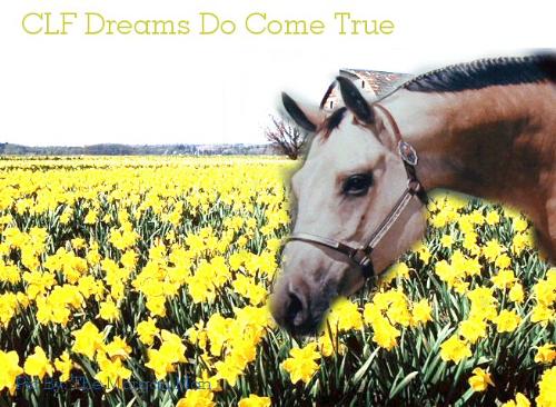 dreams will come true..... - believe it...