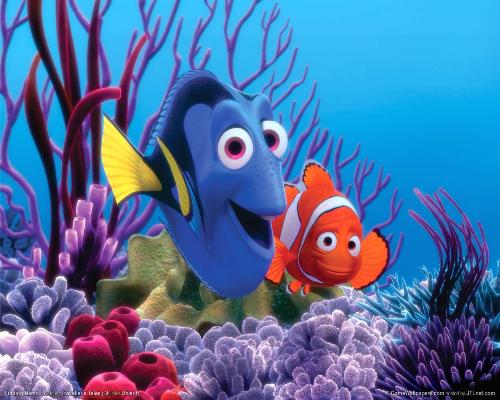 Dori and Nemo - Photo of Dori and Nemo