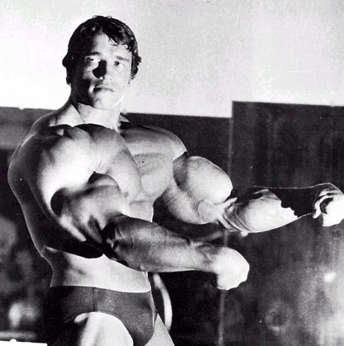 arnold schwarzenegger - A picture of Arnold Schwarzenegger when he was champion.