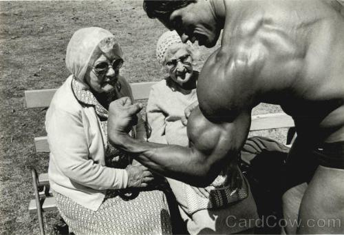 arnold schwarzenegger - A picture of Arnold Schwarzenegger with 2 old ladies.
