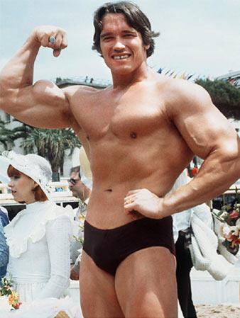 arnold schwarzenegger - A picture of Arnold Schwarzenegger.