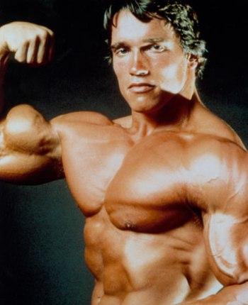 arnold schwarzenegger - A picture of Arnold Schwarzenegger.