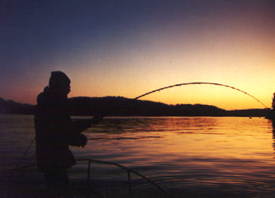 Fishing - Fishing at evening