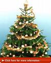 Christmas tree lights. - christmas tree