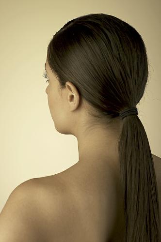 Ponytail - ponytail
