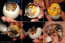 does anyone knows BALUT!Does it strange to you?. - anyone know this?
